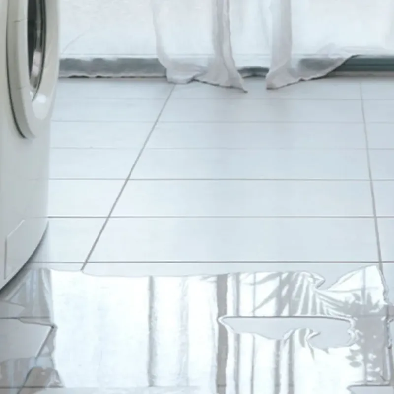 Appliance Leak Cleanup in Vandalia, IL