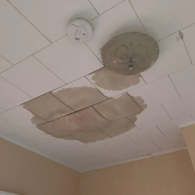 Ceiling Water Damage Repair in Vandalia, IL