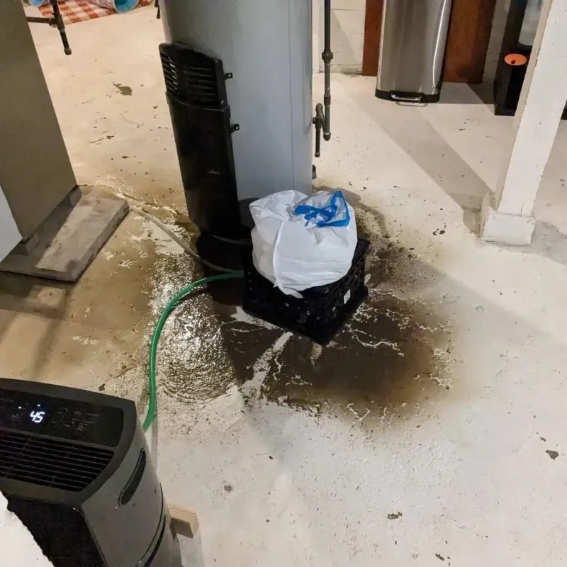 Sewage Backup Cleanup Service in Vandalia, IL
